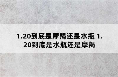 1.20到底是摩羯还是水瓶 1.20到底是水瓶还是摩羯